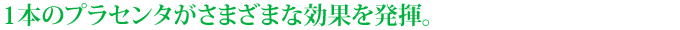 1本のプラセンタがさまざまな効果を発揮。